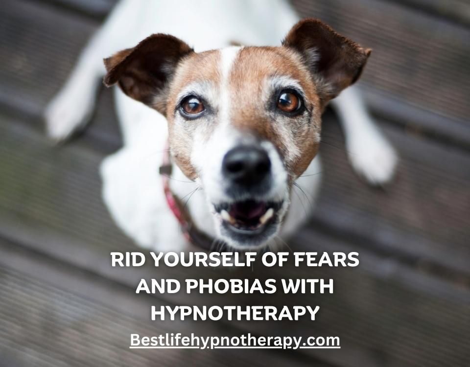 los-angeles-hypnosis-can-help-remove-fears-and-phobias-website