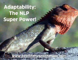 image-of-a-Chameleon-blog-title_-Adaptability_-The-NLP-Super-Power-Website